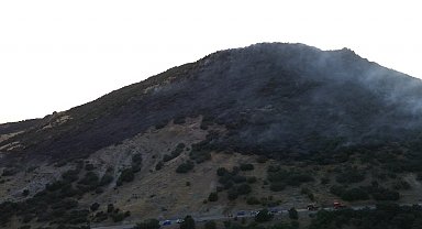 Konya'da ormanlık alanda yangın