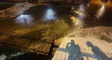 Konya'da su samuru sürprizi