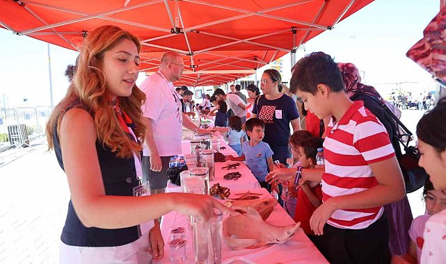 Korkuyla yaklaşıyorlar, ayrılmak istemiyorlar