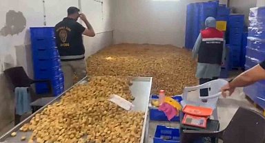 Köşk'te 20 milyon TL değerinde 25 ton etiketsiz kuru incir ele geçirildi