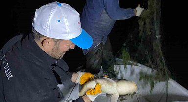 Kovada Gölü'nde kaçak avcılığa gece denetimi