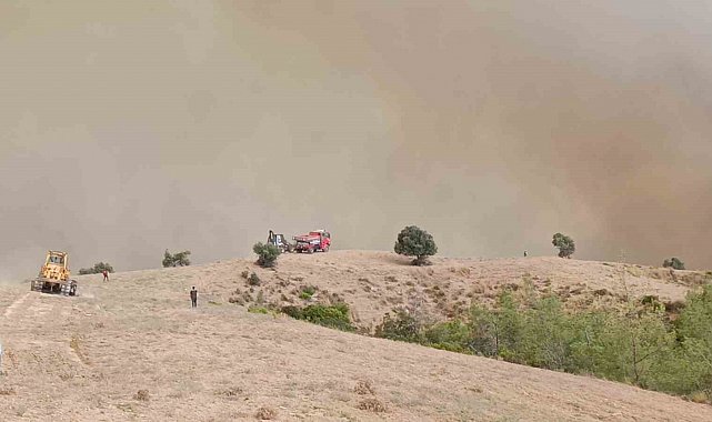 Kozan'da orman yangını: 5 helikopter, 2 uçakla mücadele sürüyor