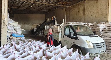 Kozan'da yangından etkilenen hayvan yetiştiricilerine 24 ton yem desteği