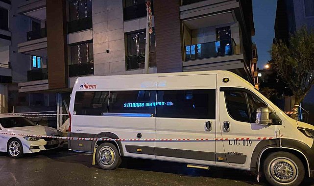 Küçükçekmece'de inşaat ile aydınlatma direği arasında elektrik akımına kapılan köpek telef oldu