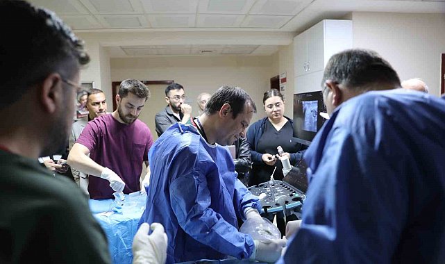 Kütahya'da uluslararası hekimlere 'mikrodalga ablasyon' eğitimi