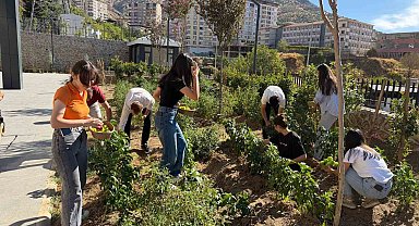 Kütüphane bahçesinde yetiştirdikleri sebzelerin hasadını gerçekleştirdiler