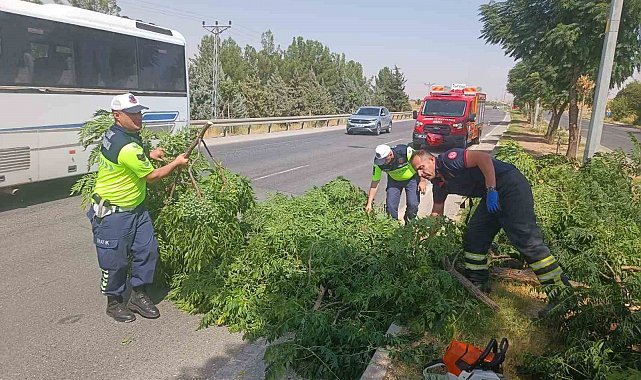 Kuvvetli rüzgar ağacı devirdi