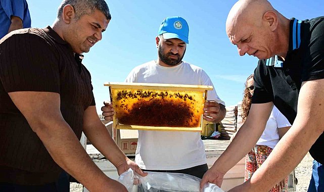 Manisa'da arıcıların peteklerine eksi 30 derecelik koruma