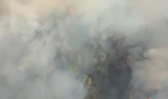 Manisa'da otoyol kenarında orman yangını