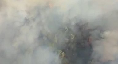 Manisa'da otoyol kenarında orman yangını