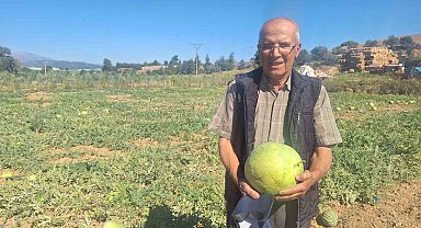 Manisalı çiftçi dede mirası ata tohumu karpuz geleneğini sürdürüyor