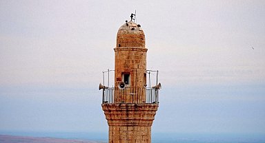 Mardin türküsünü işitme engelliler için işaret diliyle söylediler