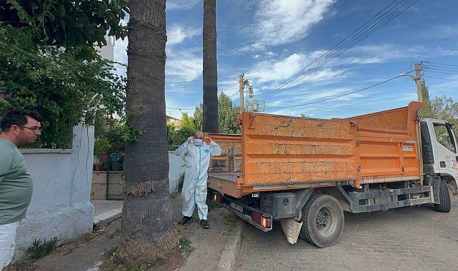 Marmaris'teki çöp evden bir kamyon çöp ve 30'a yakın kedi çıktı