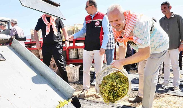 Menemen'de 'Bağ Bozumu' coşkusu