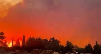 Menteşe'de orman yangını