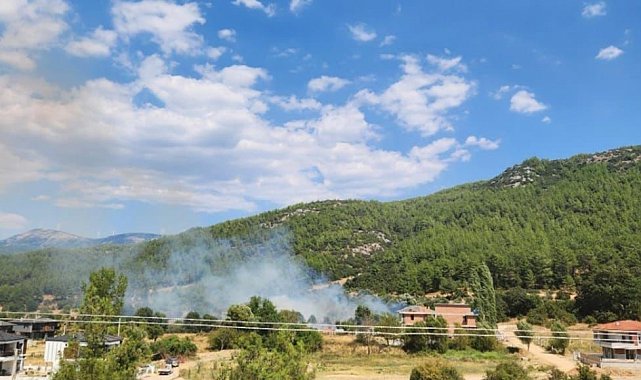 Menteşe'de otluk alanda yangın