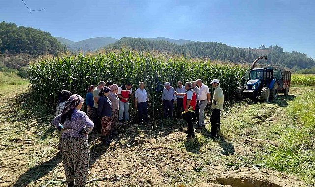 Menteşe'de üreticilere silajlık mısır eğitimi verildi