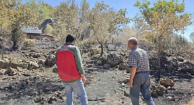 Menteşe'de yangın sonrası tarım arazilerinde hasar tespit çalışmaları sürüyor