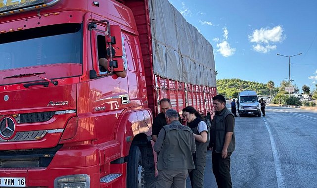 Mersin'de orman suçlarına karşı yol kontrolü