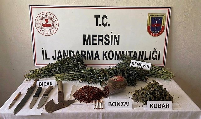 Mersin'de uyuşturucu operasyonu: 1 tutuklama