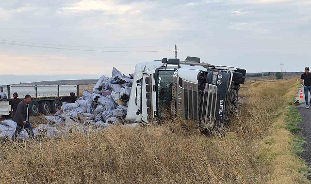 Meşe kömürü yüklü tır devrildi, sürücüsü yaralandı