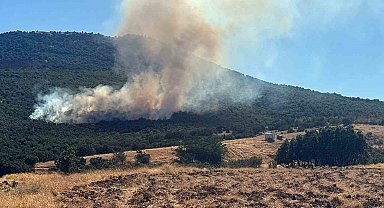 Mihalıççık'ta orman yangınına müdahale sürüyor