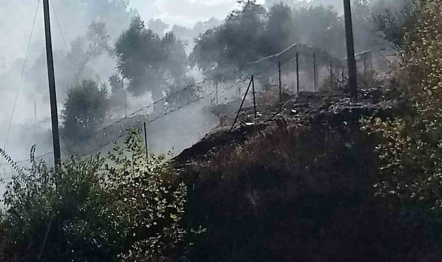 Milas-Söke karayolu üzerindeki yangın büyümeden söndürüldü