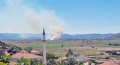 Milas Yaşyer'de ot ve sazlık yangını
