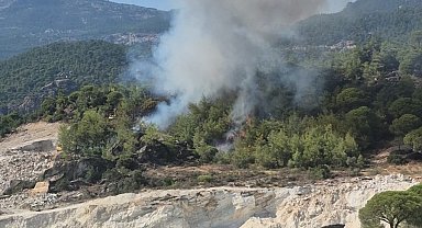 Milas'ta orman yangını