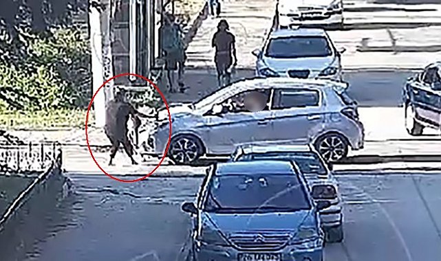 Minik Mavi'nin hayatını kaybettiği kazanın görüntüleri ortaya çıktı