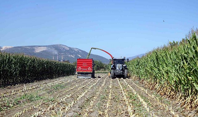 Muğla Büyükşehir'den çiftçilere kaba yem desteği