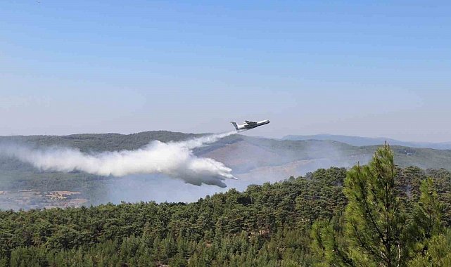Muğla'daki yangının enerjisi düşürüldü