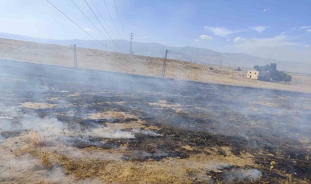 Muş'ta iki bölgede çıkan anız yangınları söndürüldü