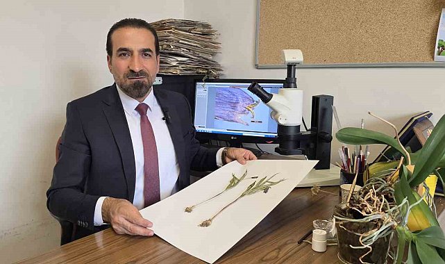 Muş'ta yetişen yeni bitki türü keşfedildi