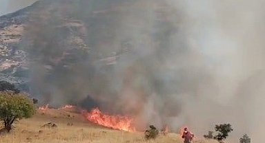 Nazımiye'de orman yangınına havadan ve karadan müdahale