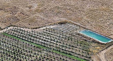 Niğde'nin bin 800 rakımlı Tumlu Yaylası'nda Geven Balı bereketi