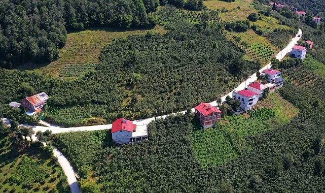Ordu'da 35 yıllık yol sorunu çözüme kavuşturuldu