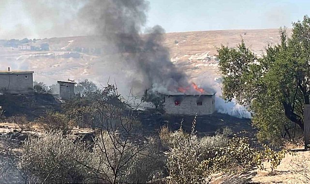 Otluk alanda başlayan yangın bağ evlerine sıçradı: 7 bağ evi kullanılamaz hale geldi