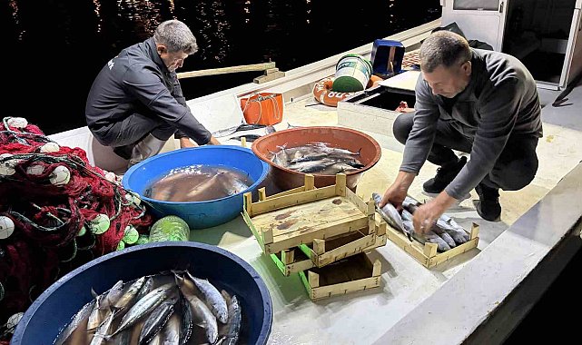 Palamut bereketi balıkçıların yüzünü güldürdü
