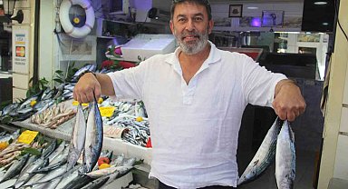 Palamut bolluğu tezgahlara yansıdı: 600 gram balık 100 lira