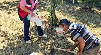 Pazarlar'da üreticilere bilinçli gübreleme desteği