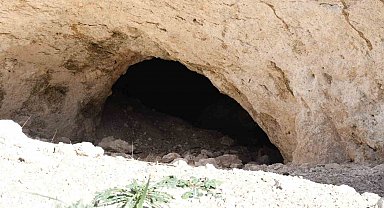 Pekmezin sırrı bu toprakta: Yozgat'tan Antalya'ya, Almanya'ya kadar gidiyor