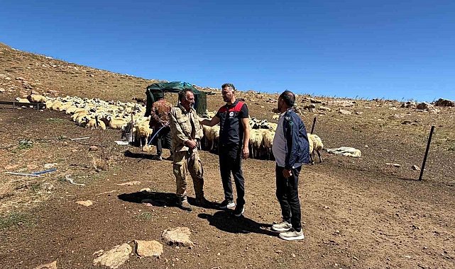 Pülümür yaylalarında göçer üreticilerin talepleri dinlendi