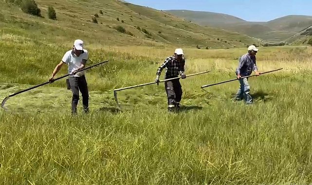 Sağanak yağışlar tarımsal çalışmaları vurdu: Çiftçinin işi bir ay geriye kaldı