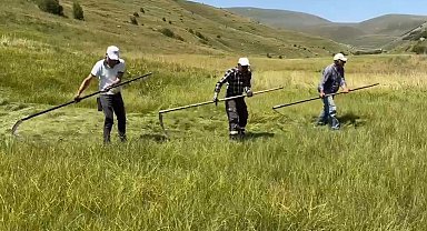 Sağanak yağışlar tarımsal çalışmaları vurdu: Çiftçinin işi bir ay geriye kaldı
