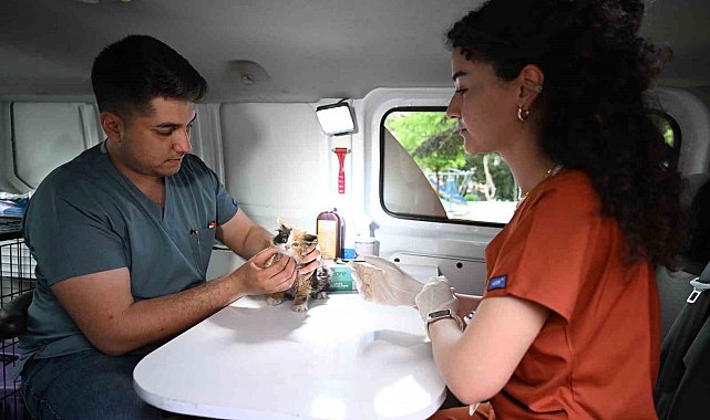 Sahipsiz sokak hayvanlarına 'PATİVET' şefkati