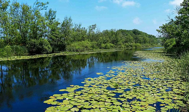 Sakarya'nın yeşil güzelliklerine 550 bin ziyaretçi uğradı