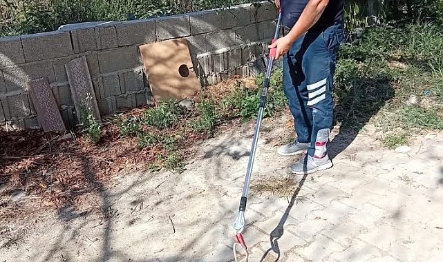 Samandağ'da yerleşim yerinde görülen yılan yakalanarak doğaya bırakıldı