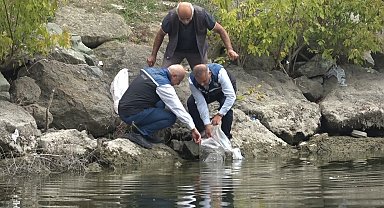 Samsun'un iç suları 1 milyon 125 bin sazan yavrusu ile balıklandırıldı