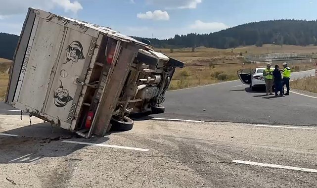 Sarıkamış'ta hayvan yüklü kamyonet devrildi: 3 büyükbaş telef oldu